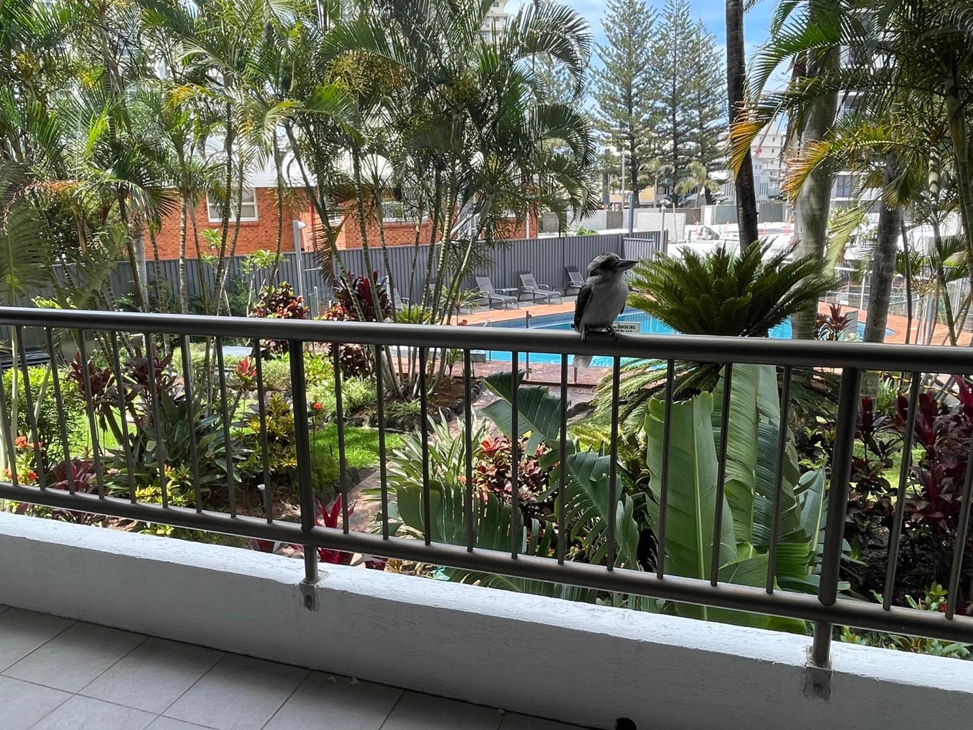 Apartment Serenity By The Sea Gold Coast